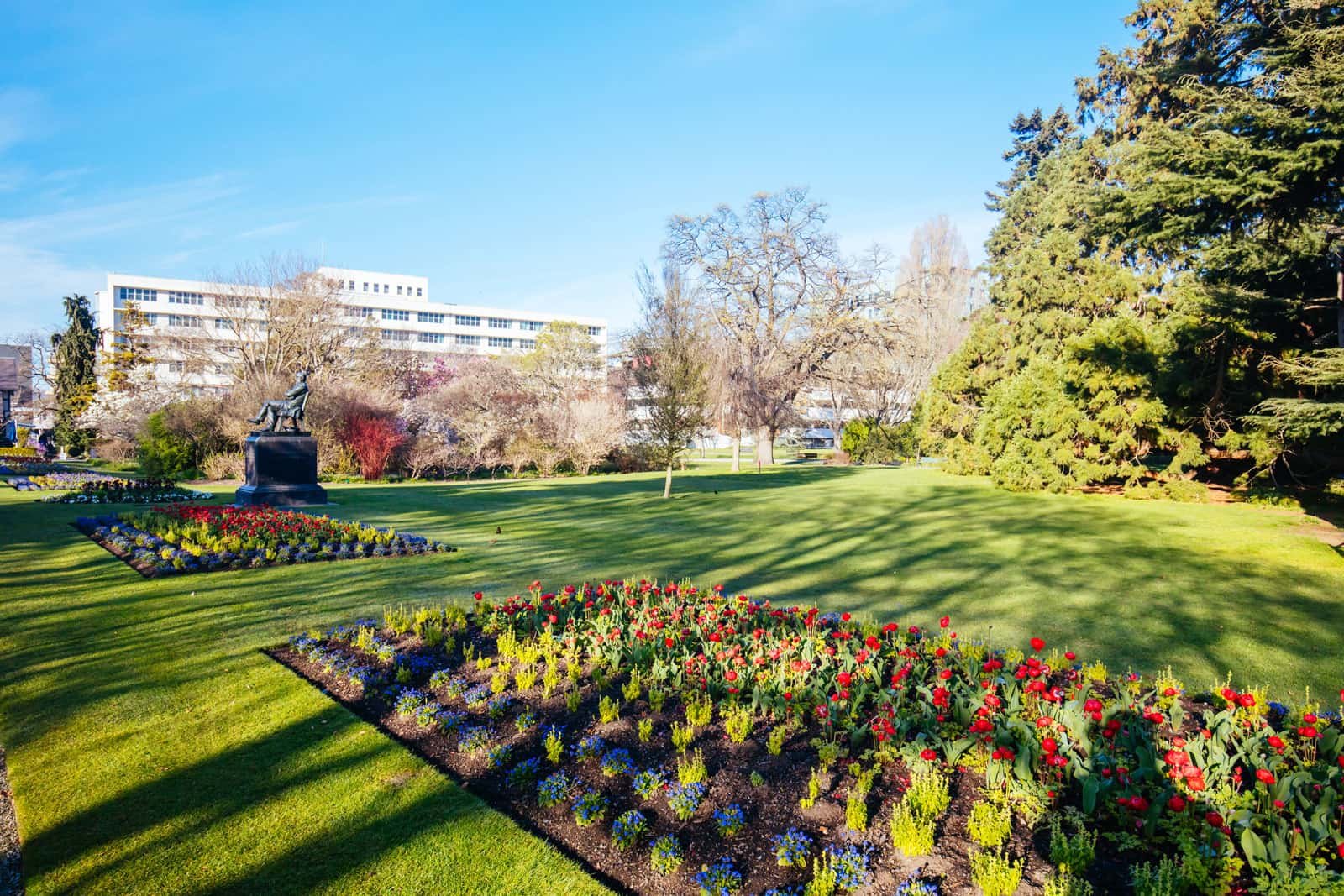 Achtergrond van het Gespreksformulier